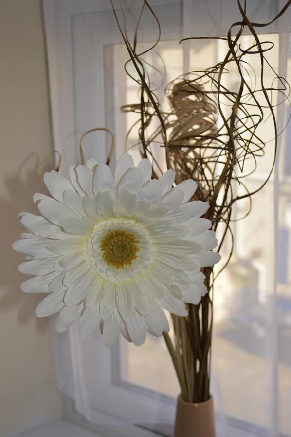 Sea Breeze Guest House Douglas Εξωτερικό φωτογραφία